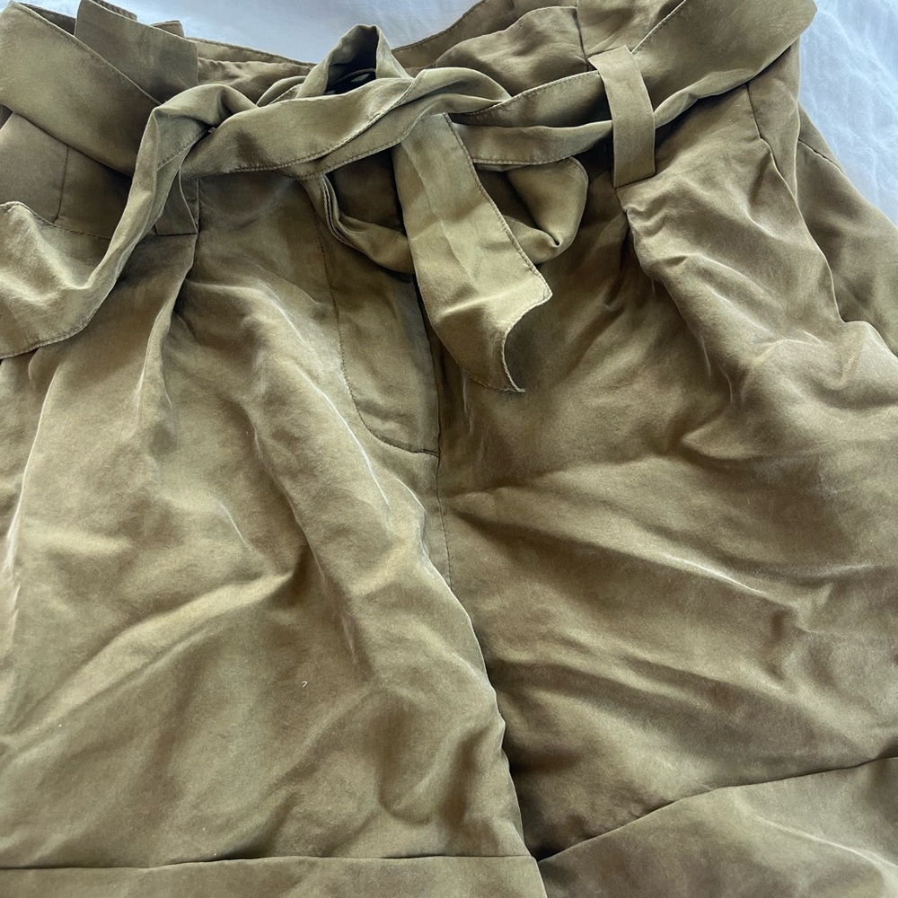Silk shorts. Worn once and put away- hence wrinkles. Always a bit small for me.
